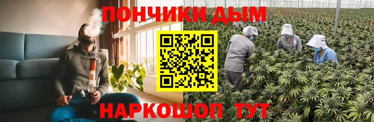 Марихуана MAZAR  Каннабис планчик  Вход с VPN  Бошки марихуана White Widow  Тобольск 